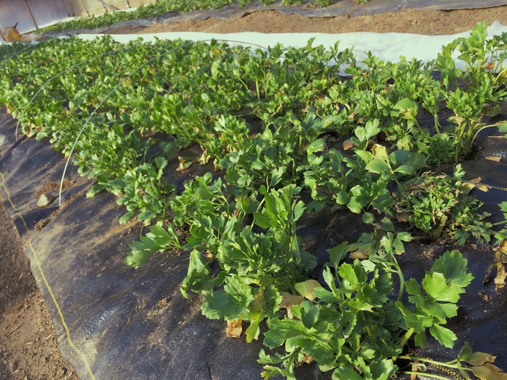 Photo Feb 23, 3 48 49 PM