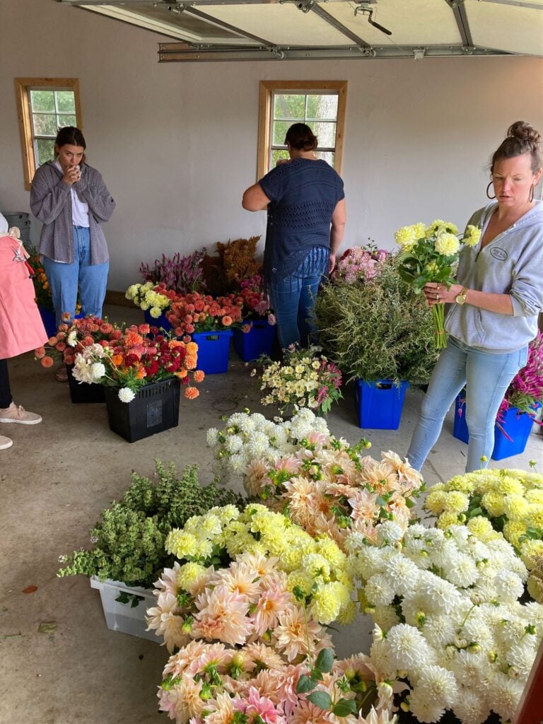 Photo Oct 12, 12 34 21 PM (1)